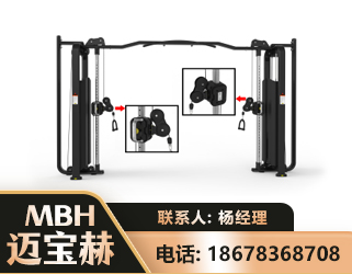 自贡大飞鸟训练器