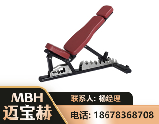 自贡可调哑铃椅